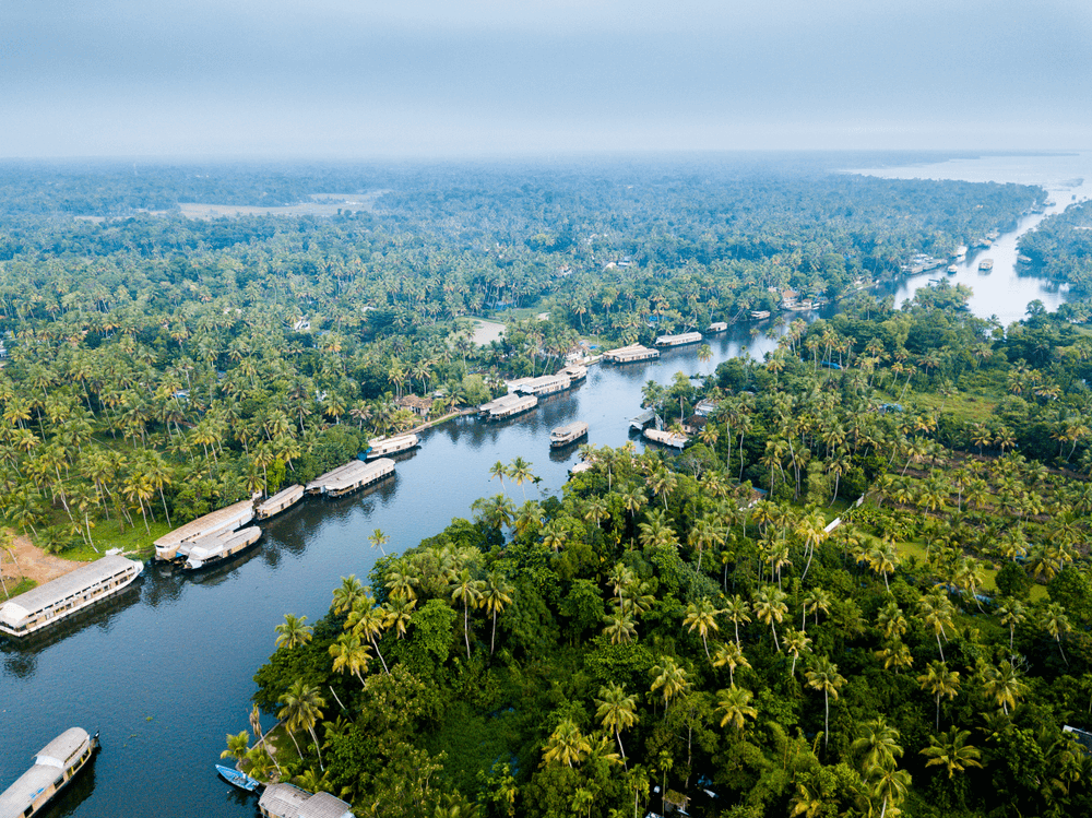 Houseboat Packages in Alleppey