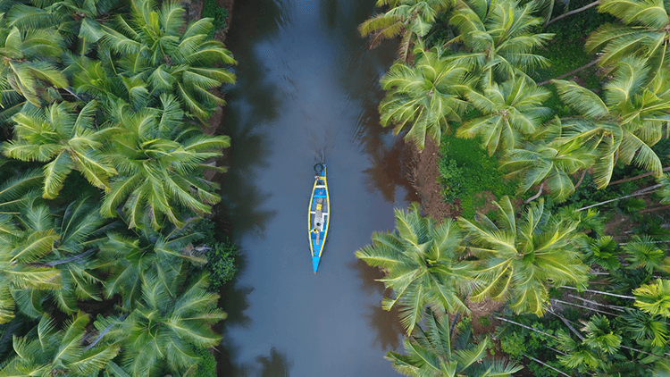 Alleppey Backwater