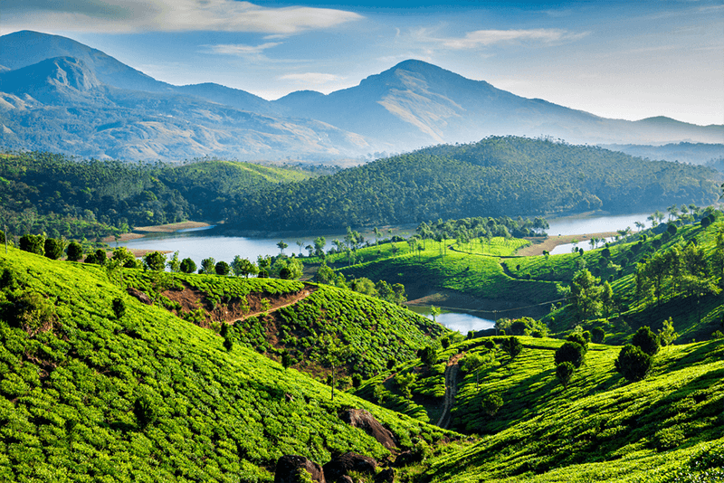 Munnar to Alappuzha