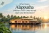 Alappuzha houseboat cruising through Kerala backwaters surrounded by coconut palms
